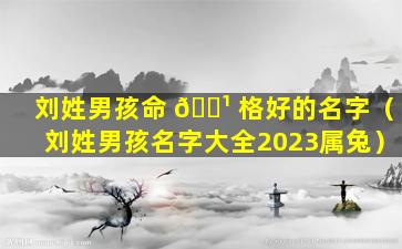 刘姓男孩命 🌹 格好的名字（刘姓男孩名字大全2023属兔）